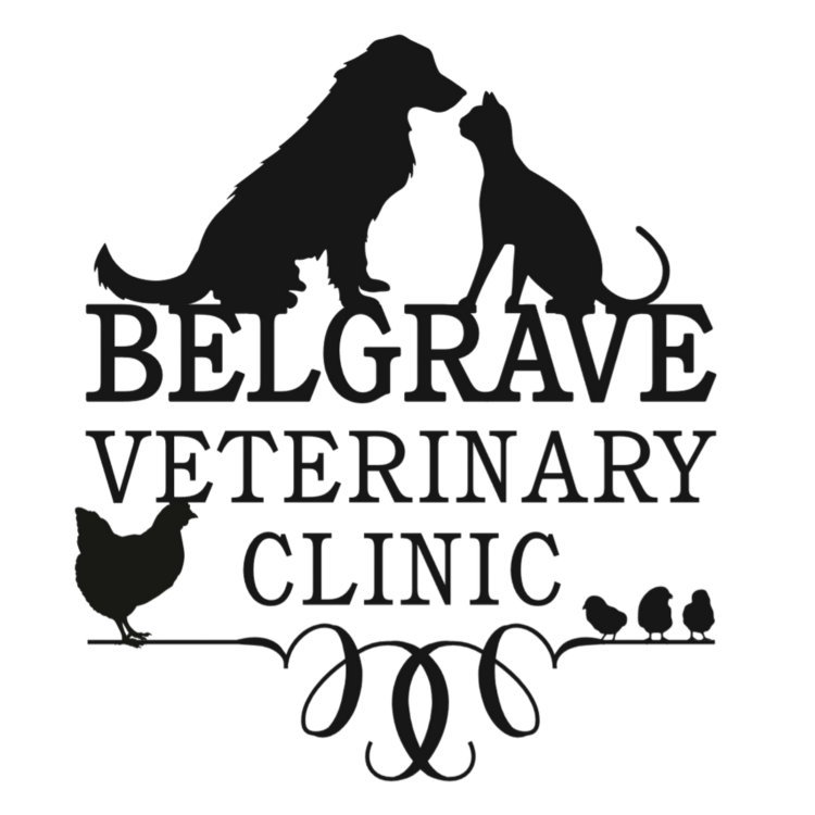 Belgrave Vet Logo